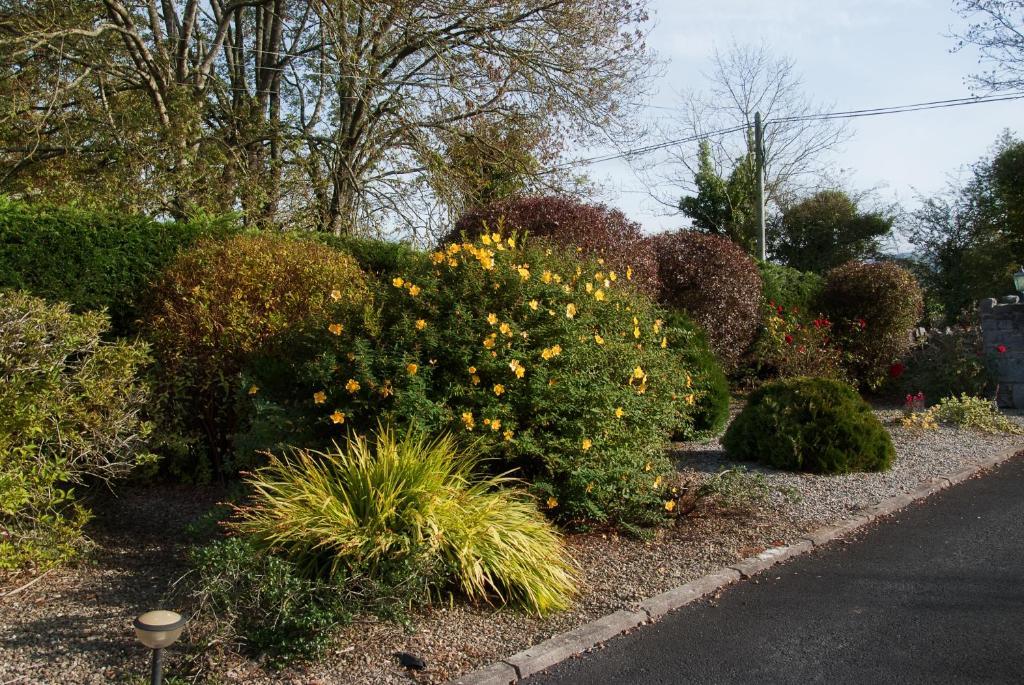 Innisfree B&B Bunratty Eksteriør billede