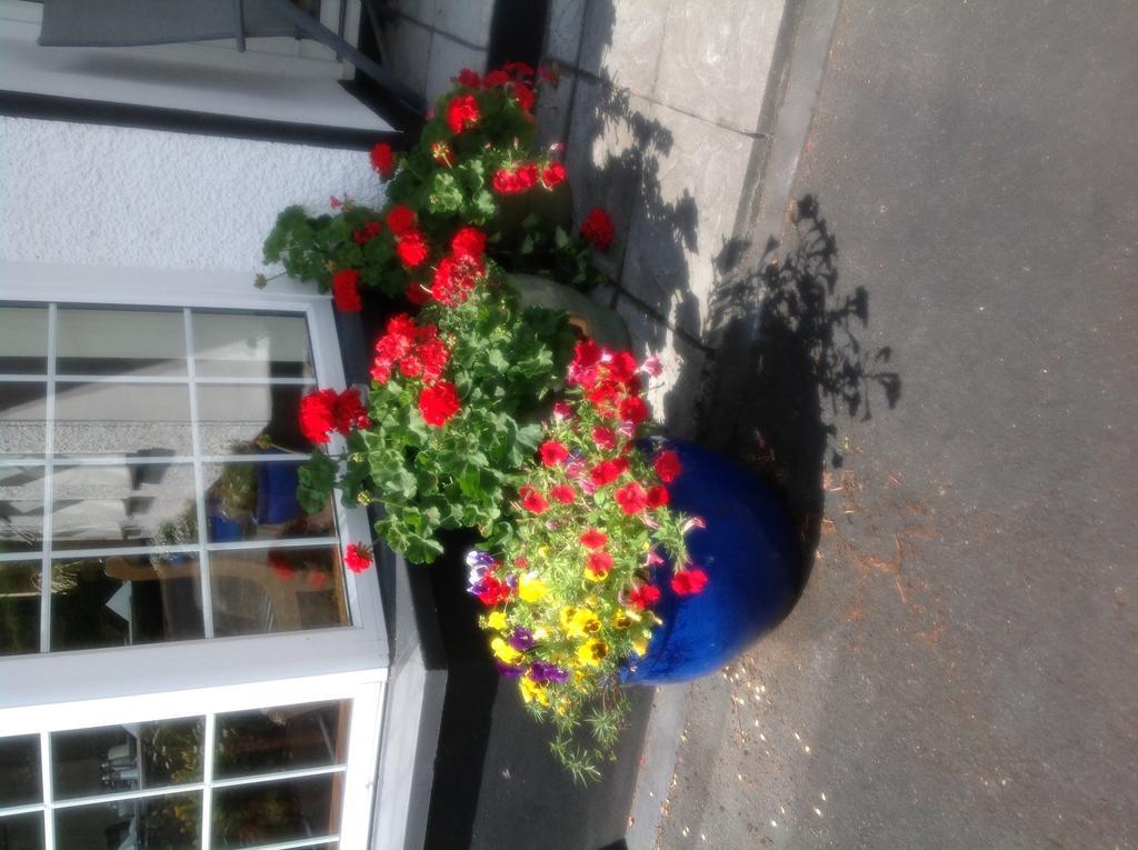 Innisfree B&B Bunratty Eksteriør billede